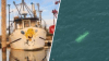 2 found dead aboard missing fishing vessel that sunk off Cape Cod